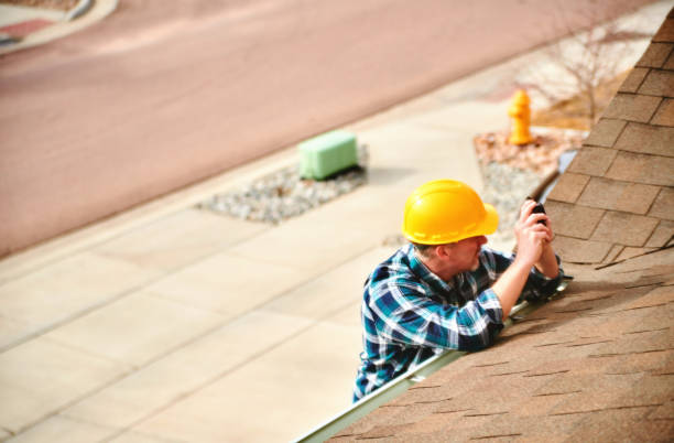 Best Roof Gutter Cleaning  in Lewisport, KY